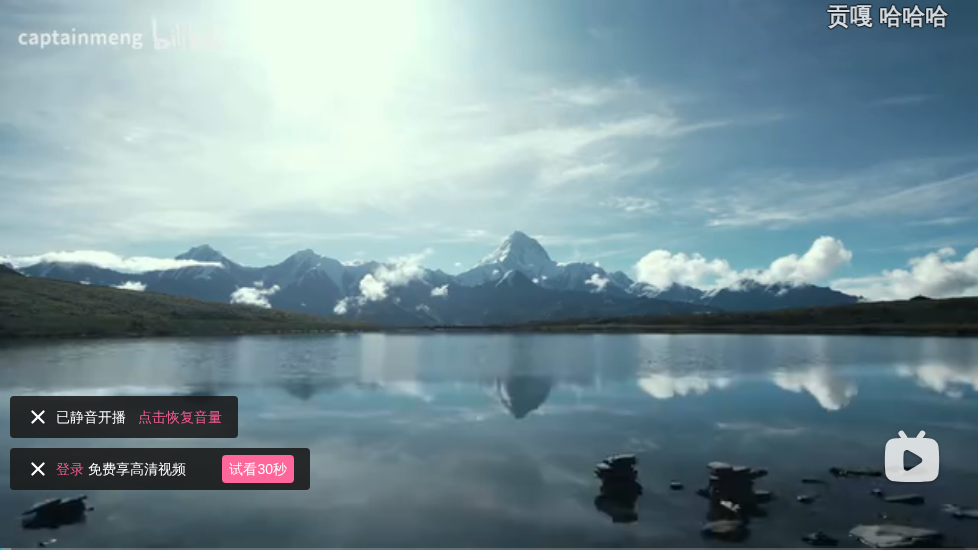 B 站视频画面截图预览